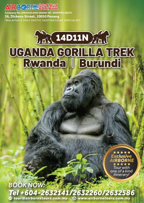 14D11N Uganda Gorilla Trek + Rwanda + Burundi-500 (1)