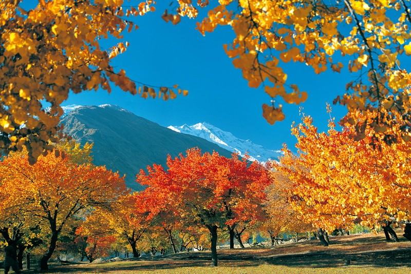 Autumn_in__Pakistan