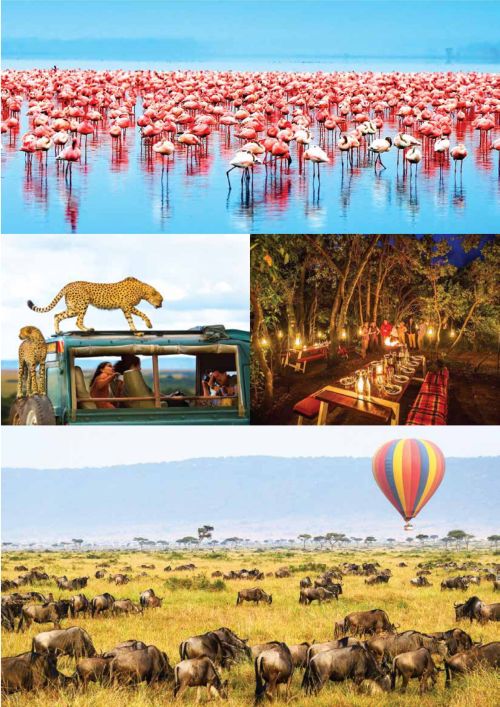 Kenya Tanzania Migration Safari -500 (8)