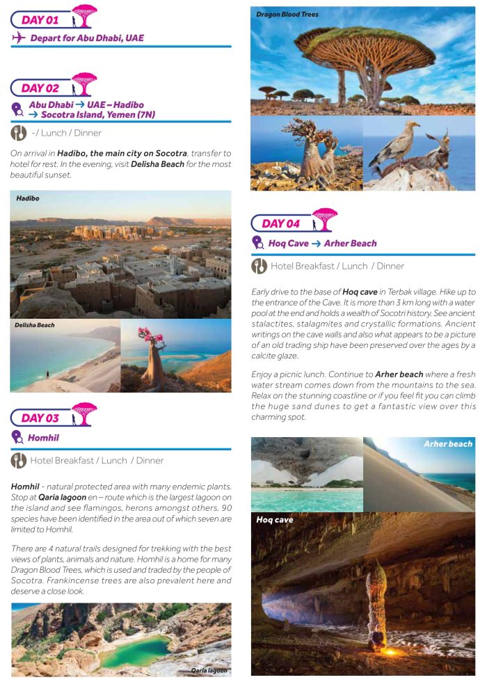 Socotra, Yemen (1)-02